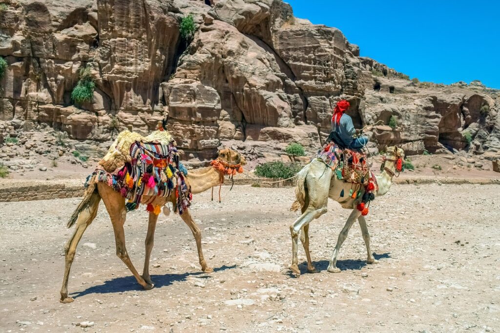 camels, camelliers, al siq canyon-4363309.jpg