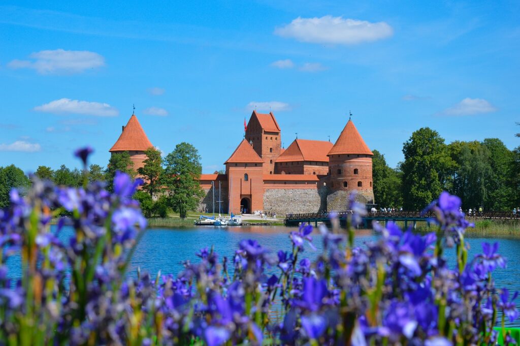 castle, nature, flowers-5068706.jpg