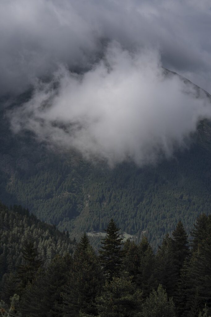 nature, mountain, fog-7264796.jpg