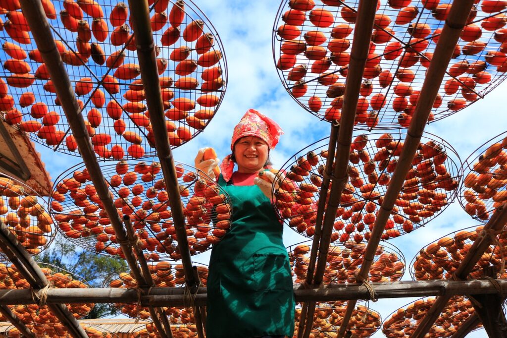 farmer, fruit, worker-5972951.jpg