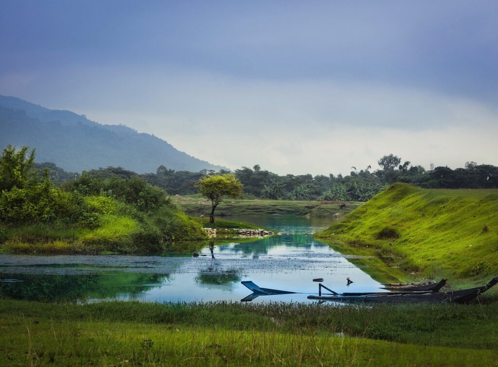 nature, bangladesh, landscape-3673387.jpg