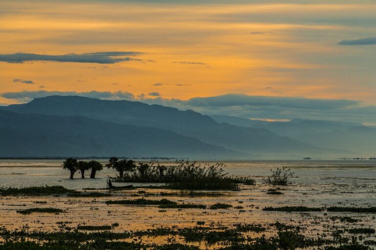 tanguar haor, bangladesh, dhaka-7659427.jpg