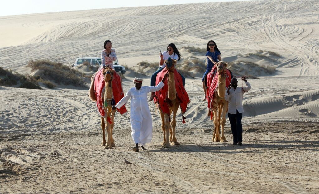 camels, desert, safari-6977913.jpg