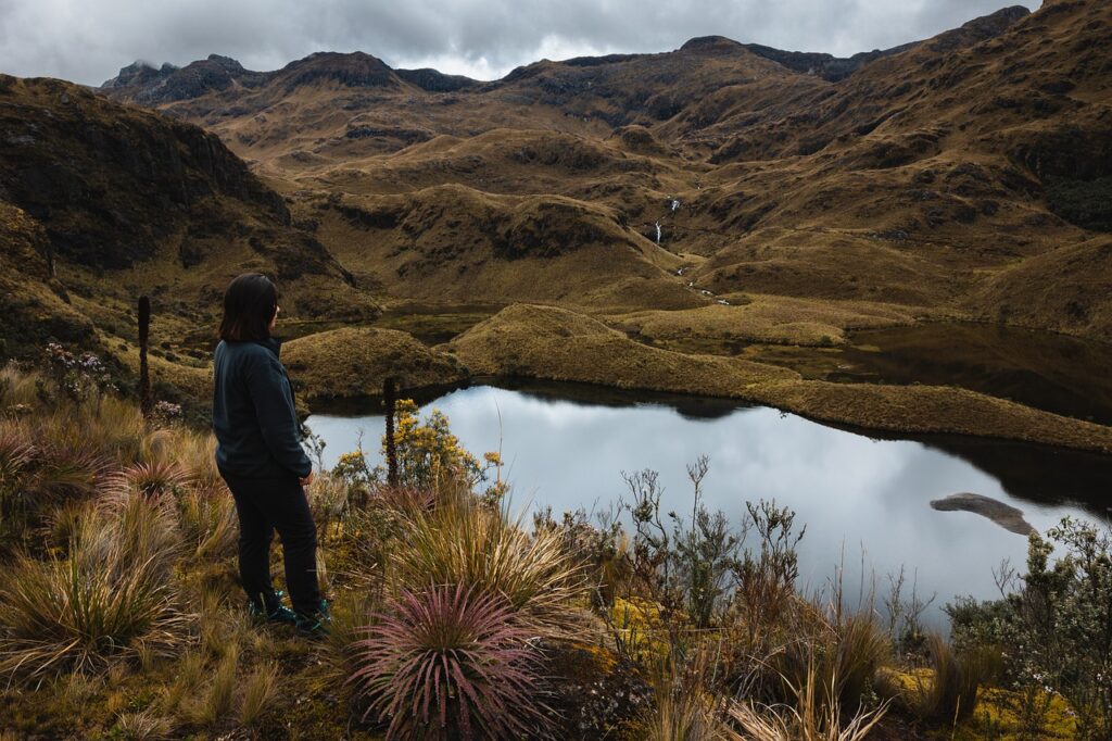 forest, lake, hiking-6805049.jpg