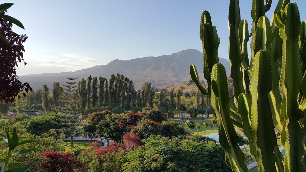 landscape, moquegua, peru-2372842.jpg