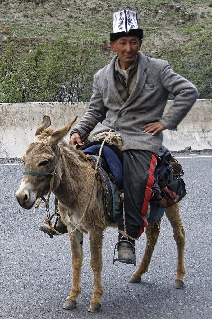 man, donkey, human-4659204.jpg