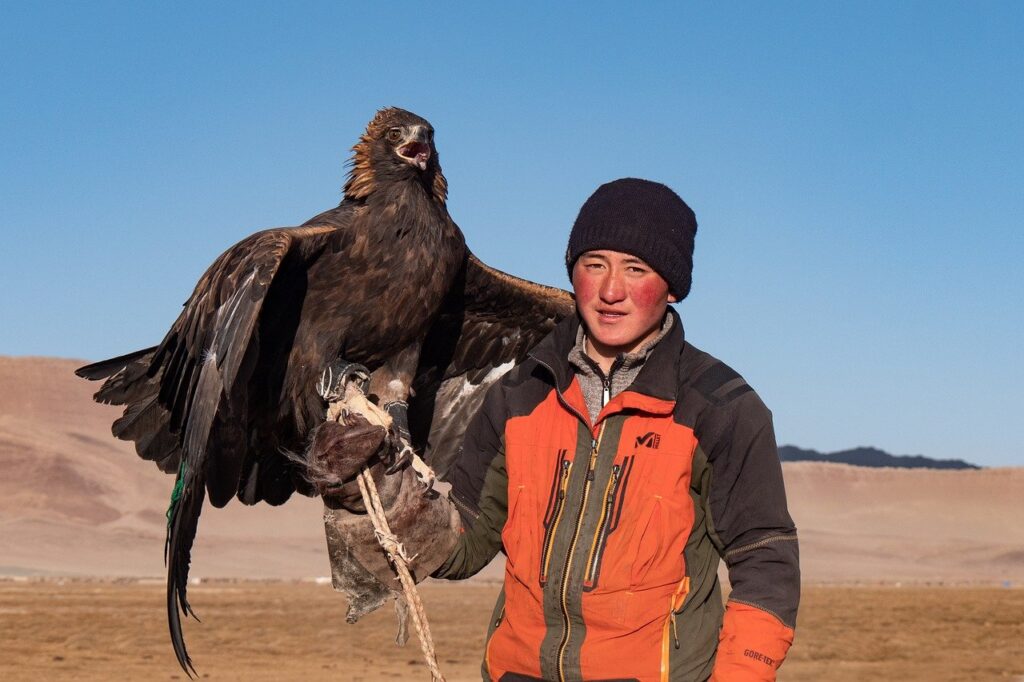 mongolia, eagle, nomad-7566933.jpg