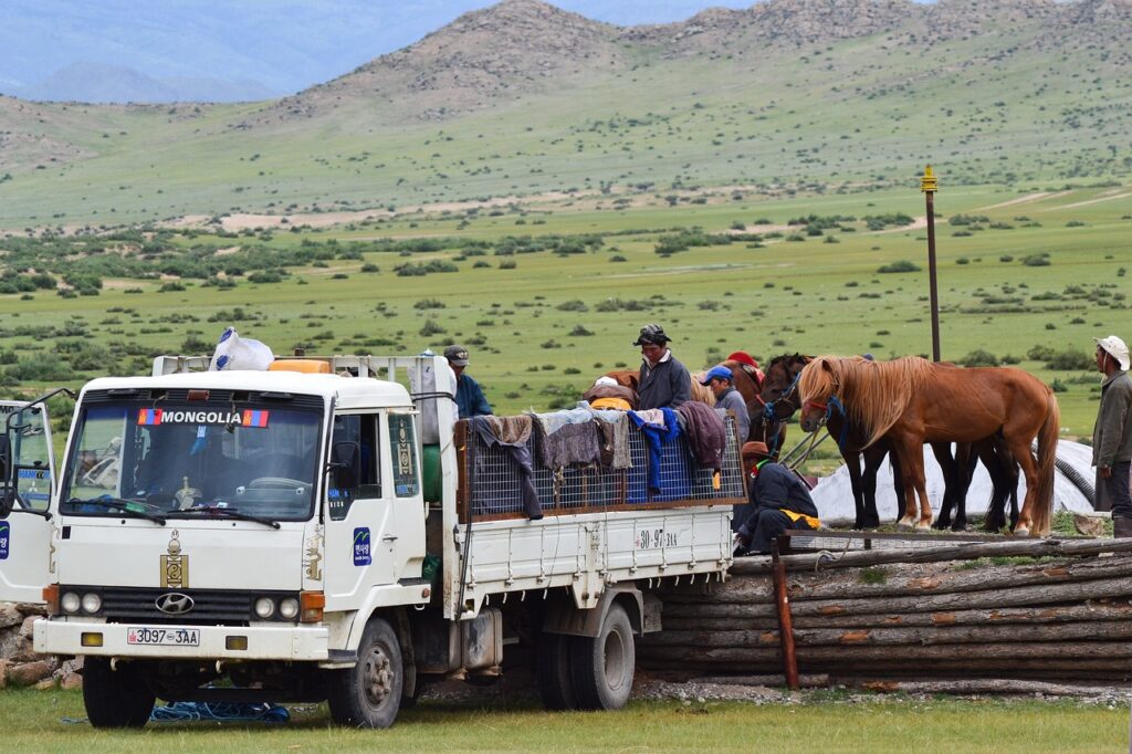 mongolia, steppe, horses-593057.jpg